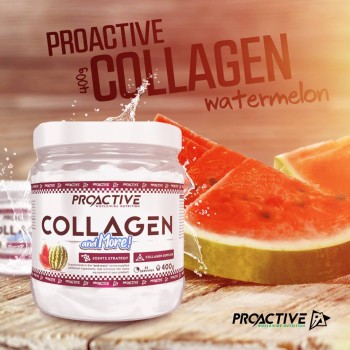 Kollageen+/Collagen and more (400g/26päeva) ProActive EU