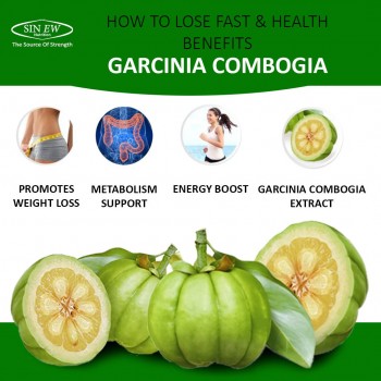 Garcinia-Cambogia (90tab/90serv) SFD EU 